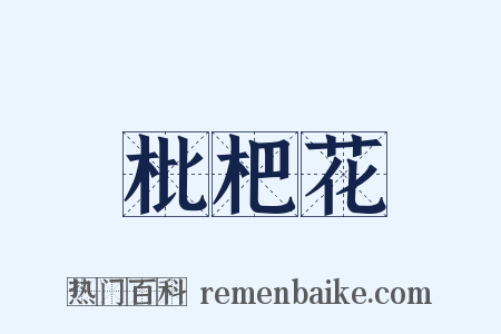 枇杷花是什么意思的图片